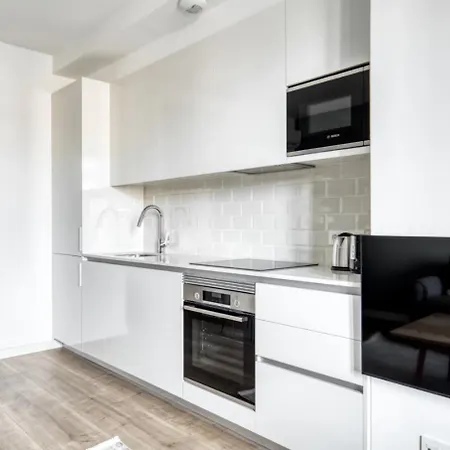 Luxury 2br Born Area Apartment *